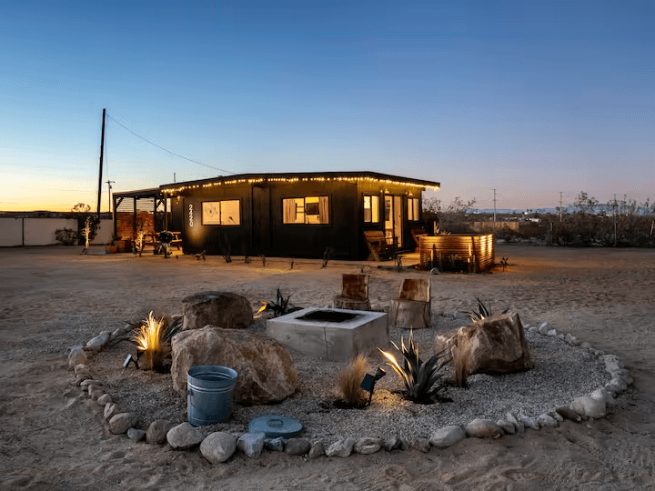 The Wild Kindness at Joshua Tree