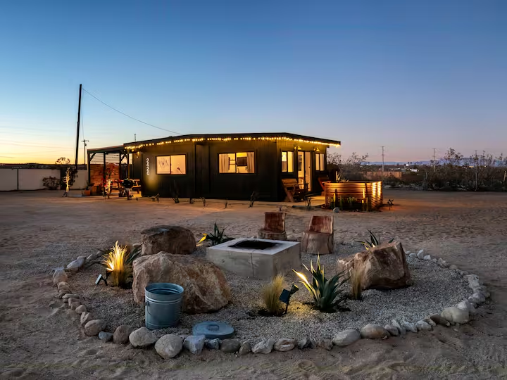The Wild Kindness at Joshua Tree